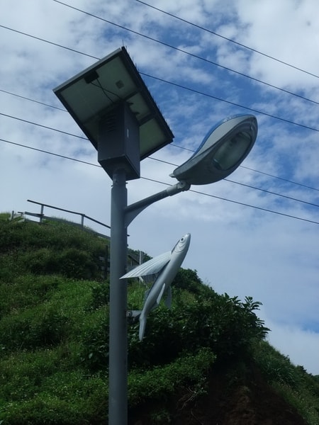 20250830-oflqz