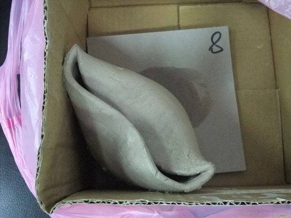 20250830-eroha