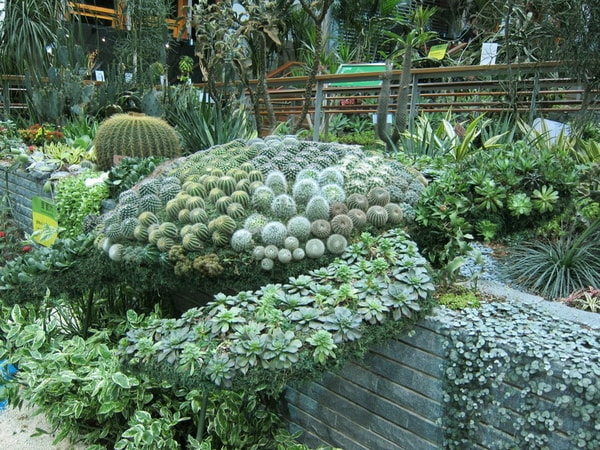 20250830-puay3