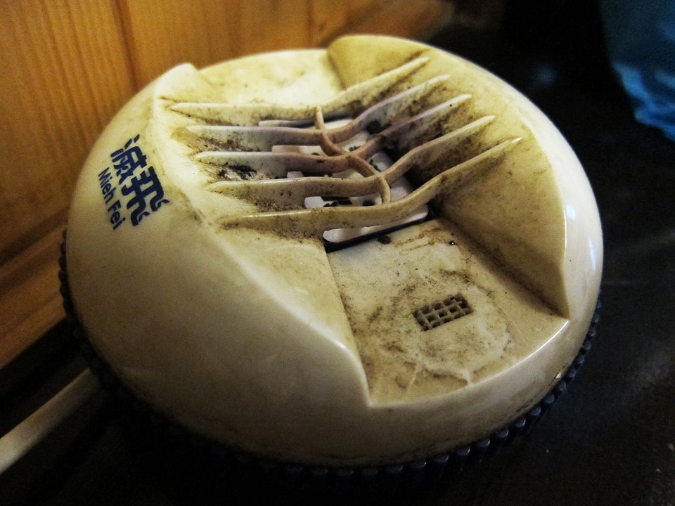 20250830-br95w