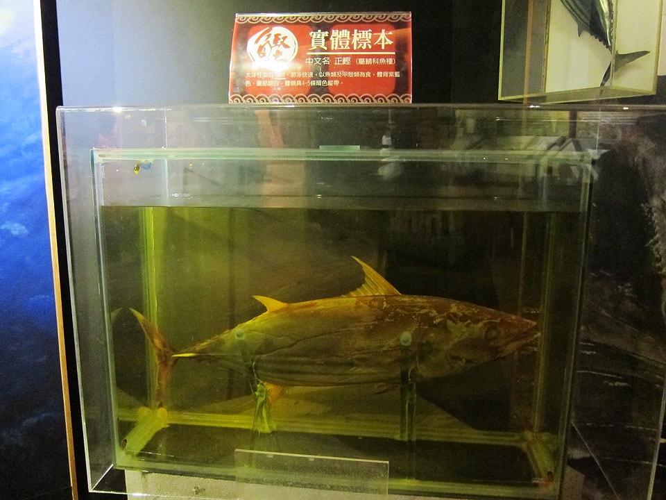 20250830-k9hym