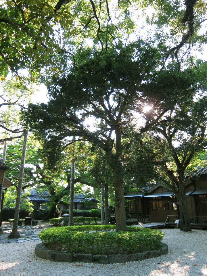 20250830-yc6ty