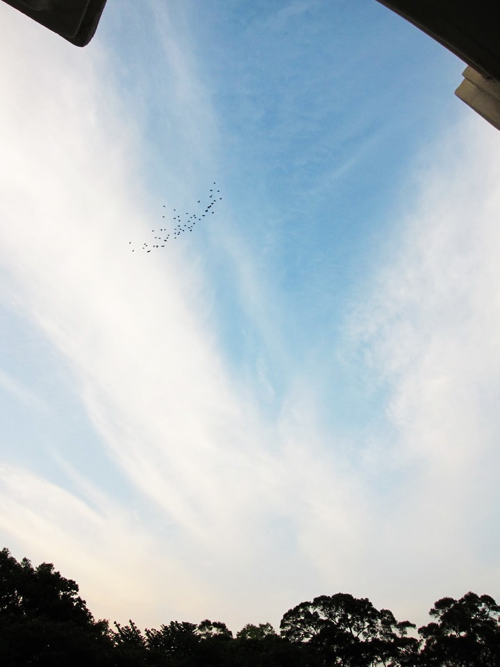 20250830-xcgw4
