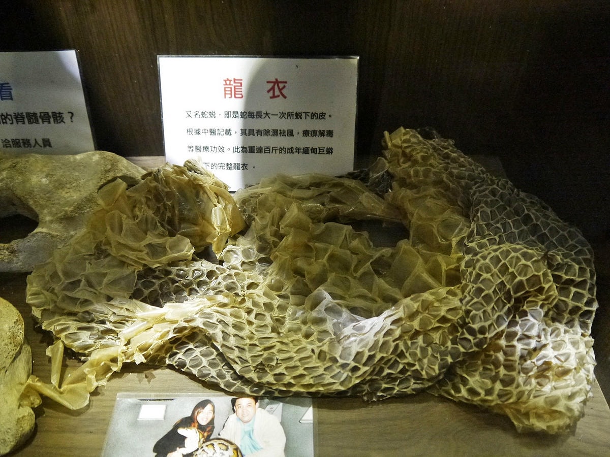 20250830-8ajv2