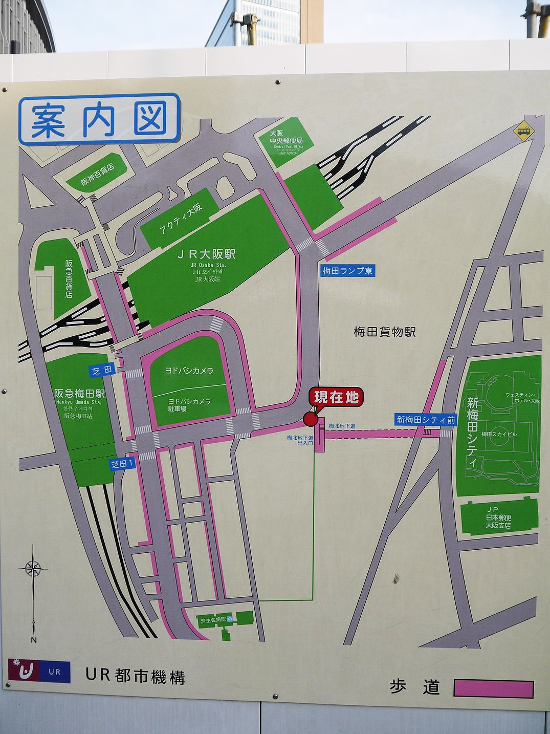 20250830-ue1zp