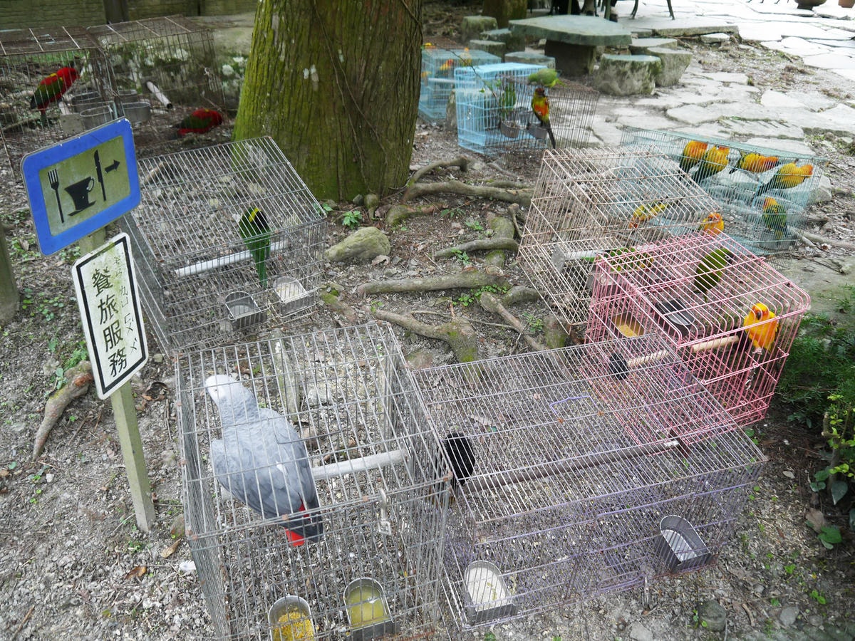 20250830-iuhub