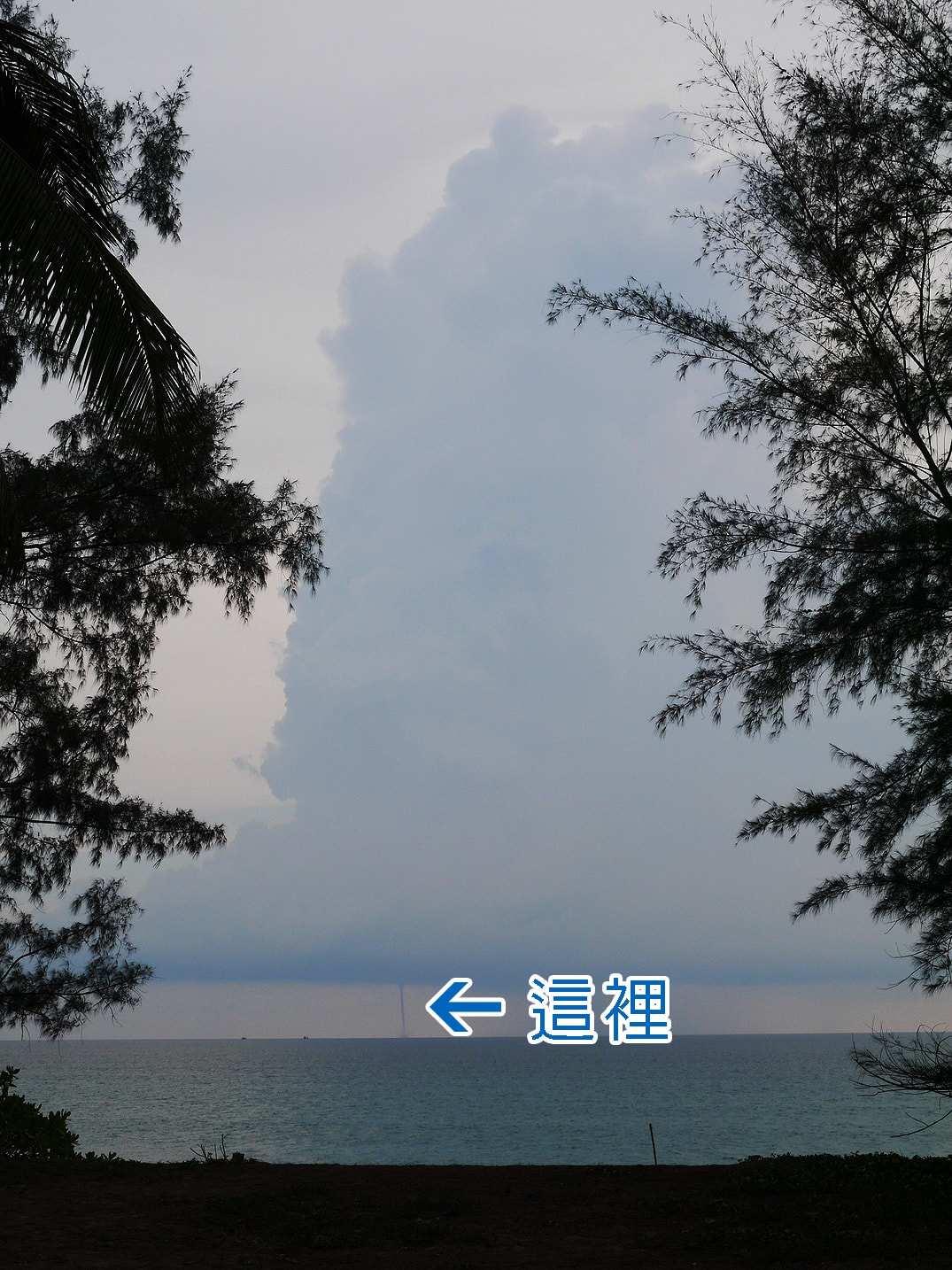 20250830-f57v6