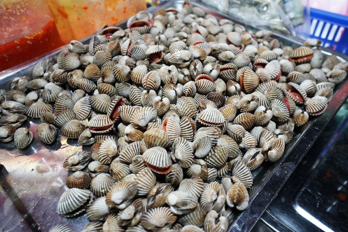 20250830-ghkhy