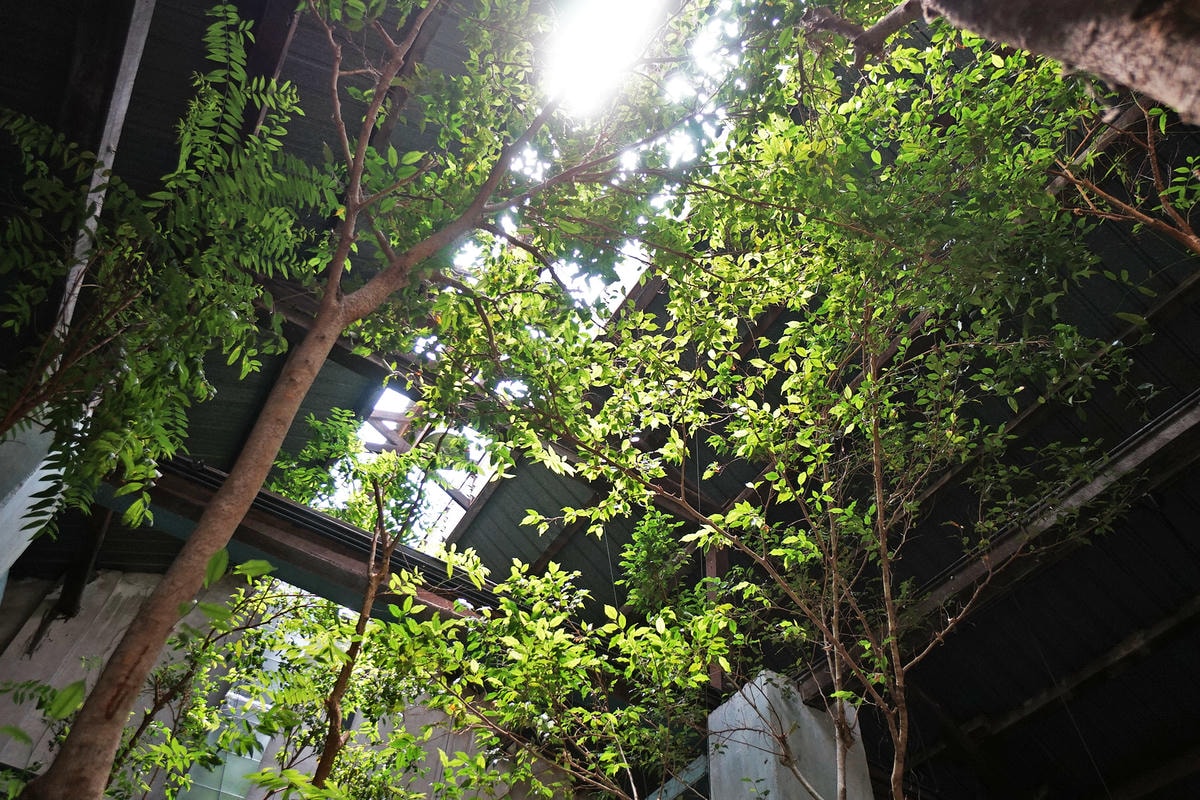 20250830-8sods