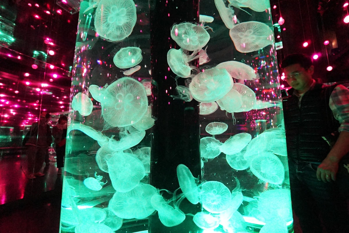 20250830-022if