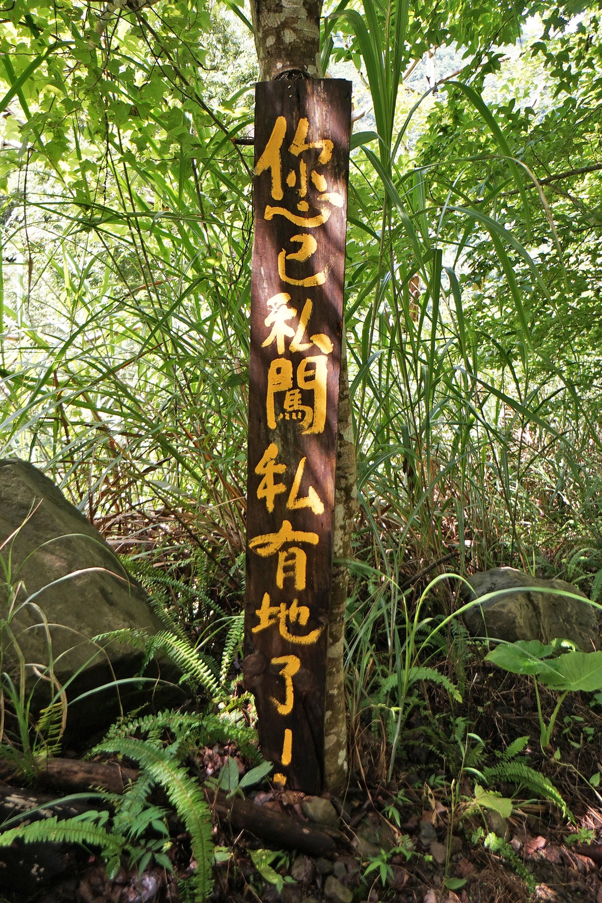 20250830-pzvmq
