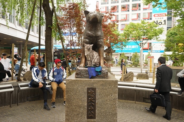 20250831-ctusw