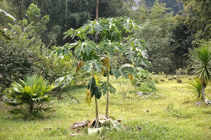20250831-x4pgr