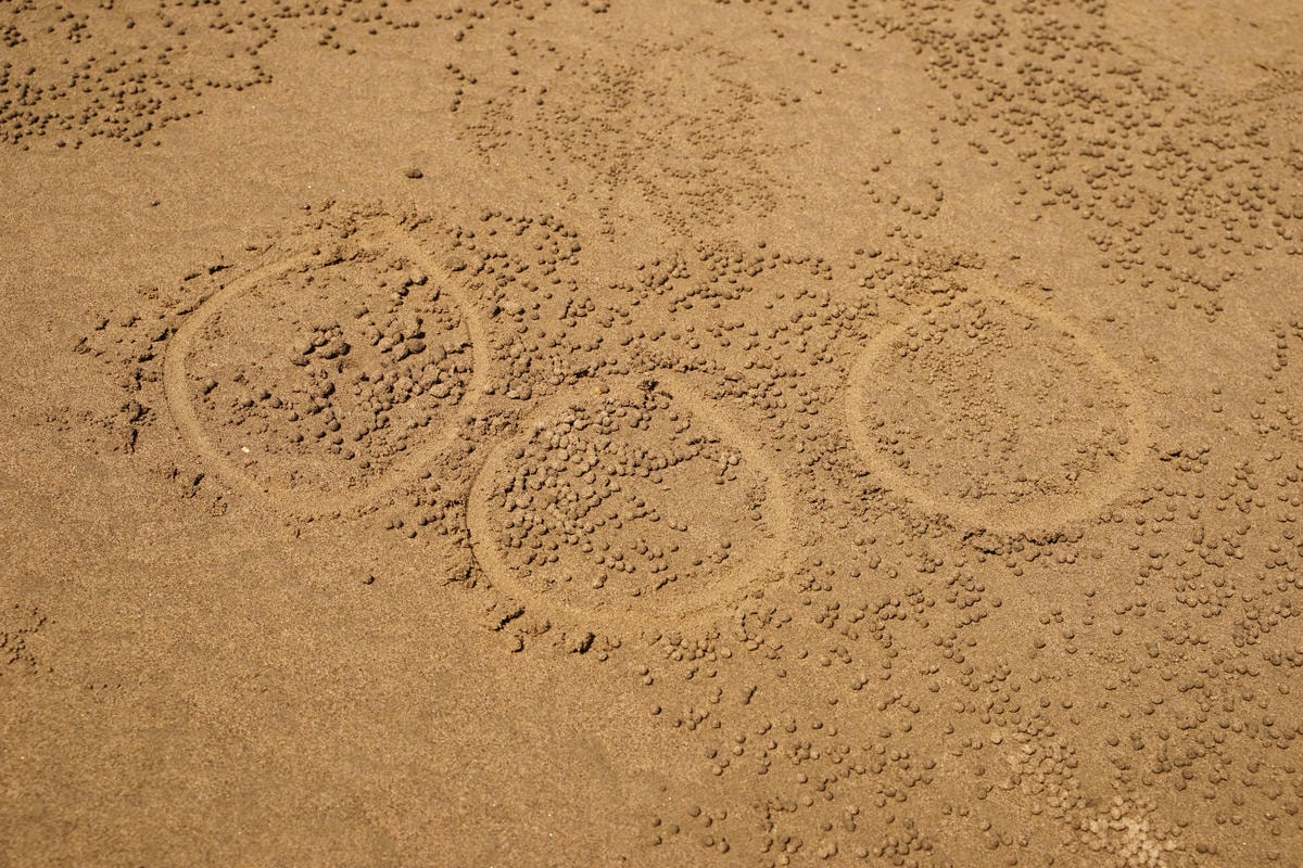 20250830-6hmtp