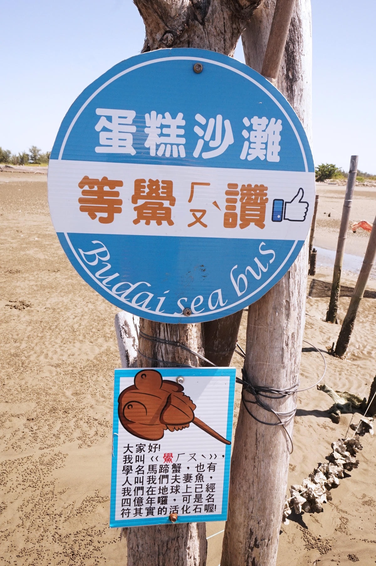 20250830-p0wlc