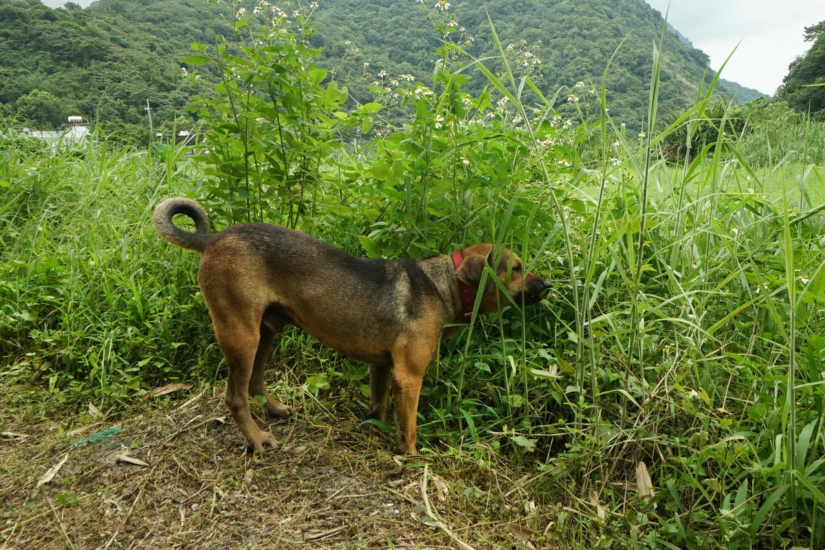 20250830-hj5ke