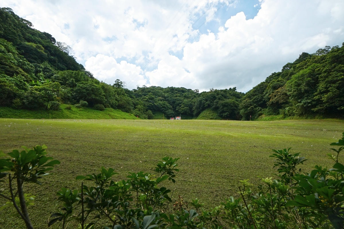 20250830-4dd6y