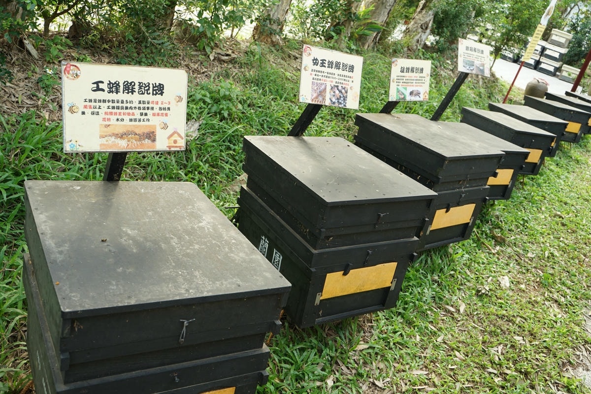 20250830-p586f