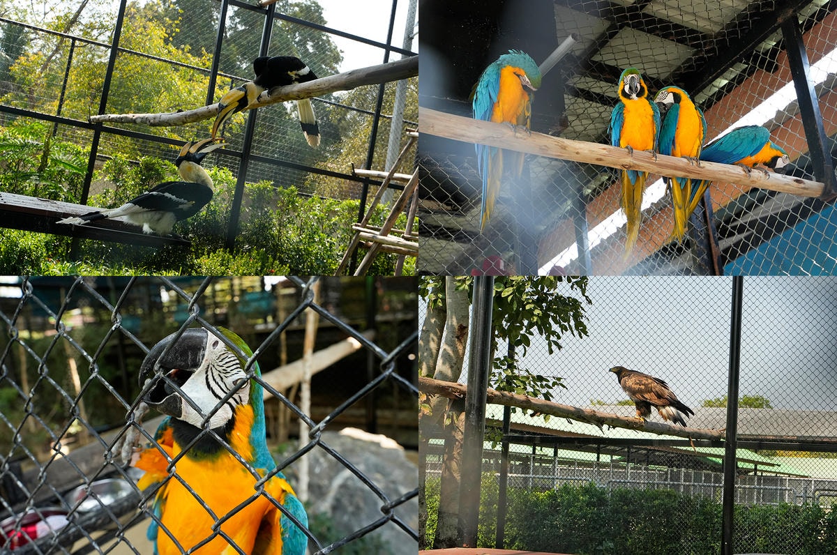 20250830-kzg9o