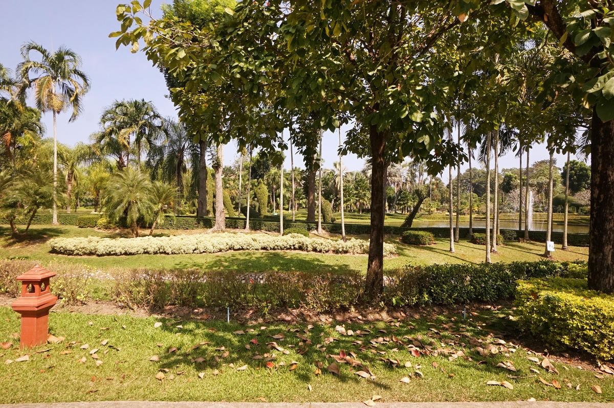 20250830-qoode