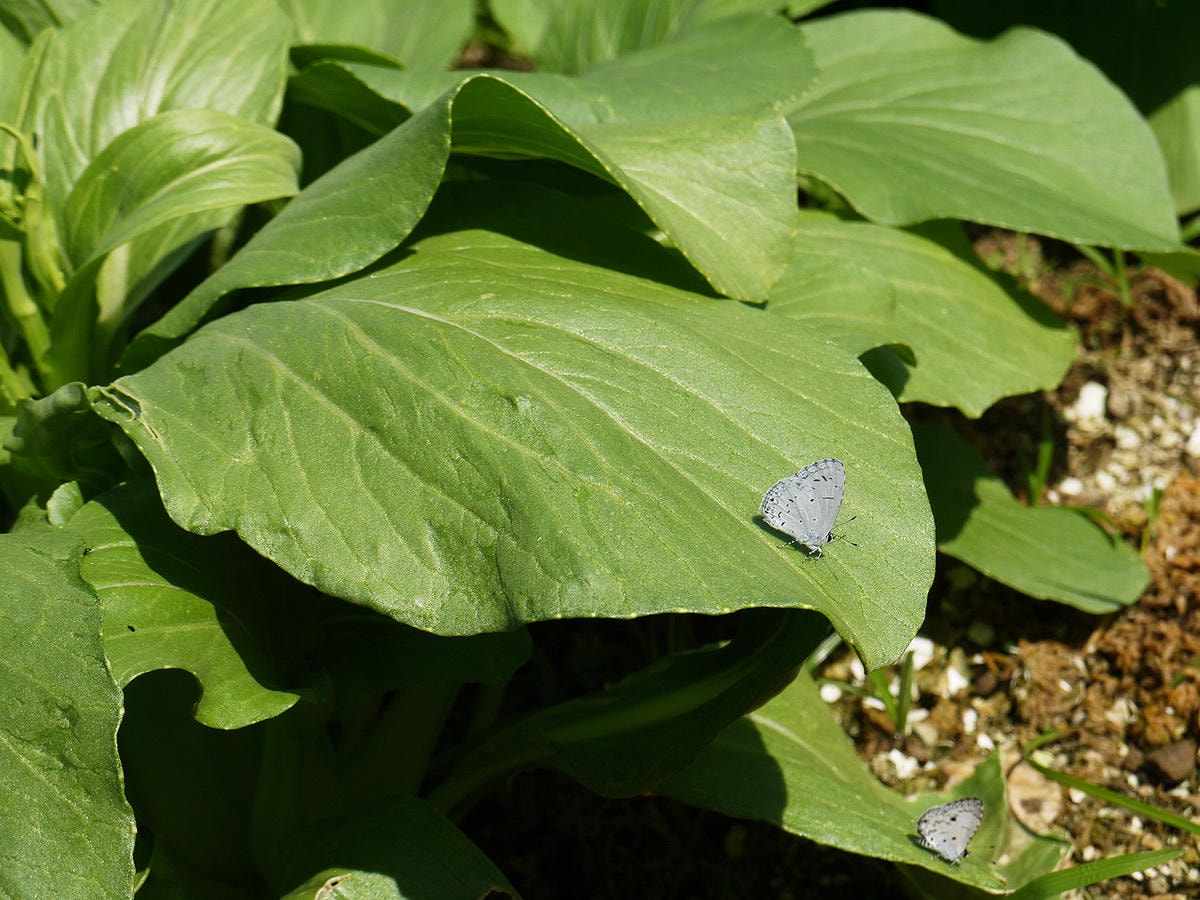 P2430718.JPG