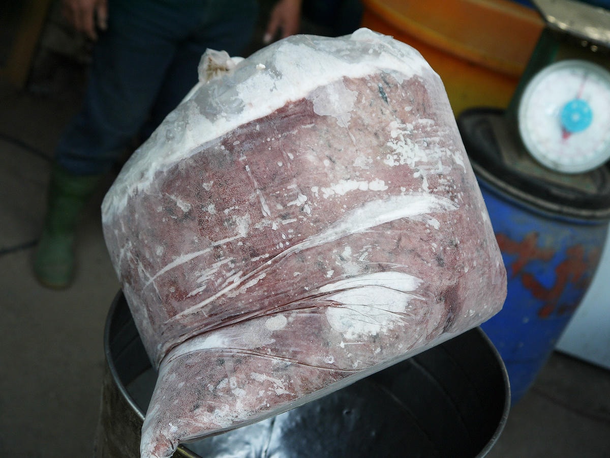 P2440363.JPG