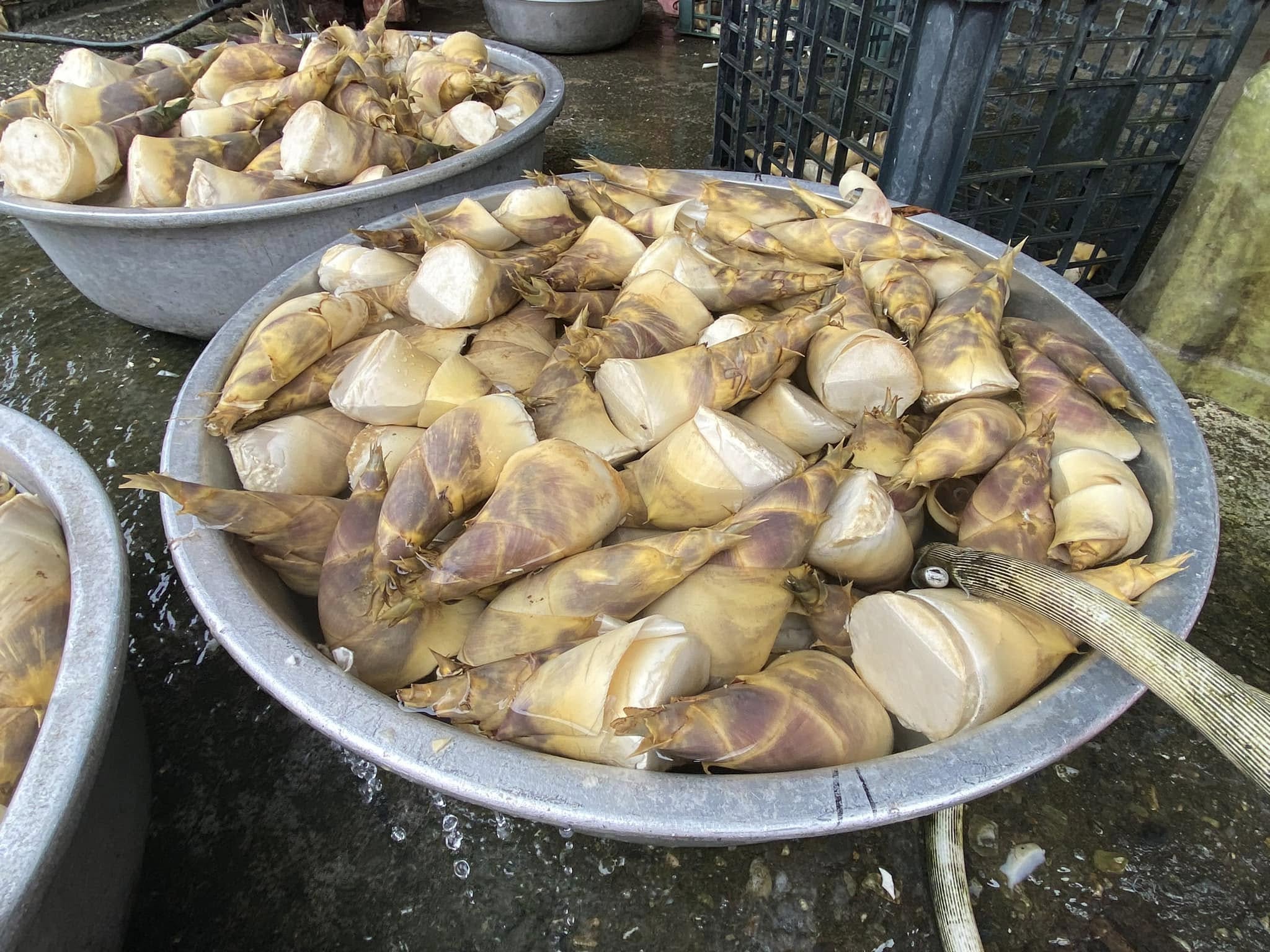 【基隆景點】瑪陵老竹的春天 – 走訪基隆瑪陵地區見證竹工藝的美好,也認識瑪西社區在地的綠金(竹)產業與煤礦文化! - 第15張圖