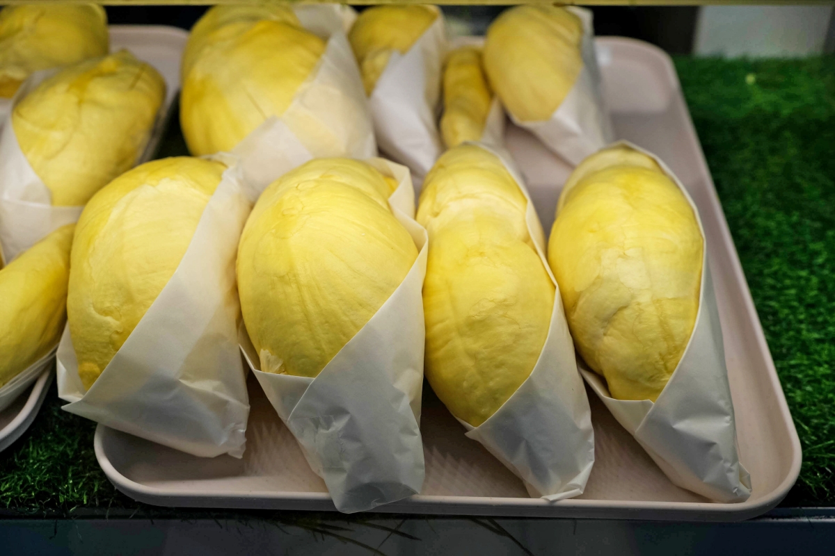 【清邁美食】Homm Wan – 清邁最強榴槤甜品專賣店,榴槤刨冰、榴槤泰奶、榴槤糯米飯應有盡有!不敢吃榴槤的話也有芒果系列可點喔~ - 第10張圖