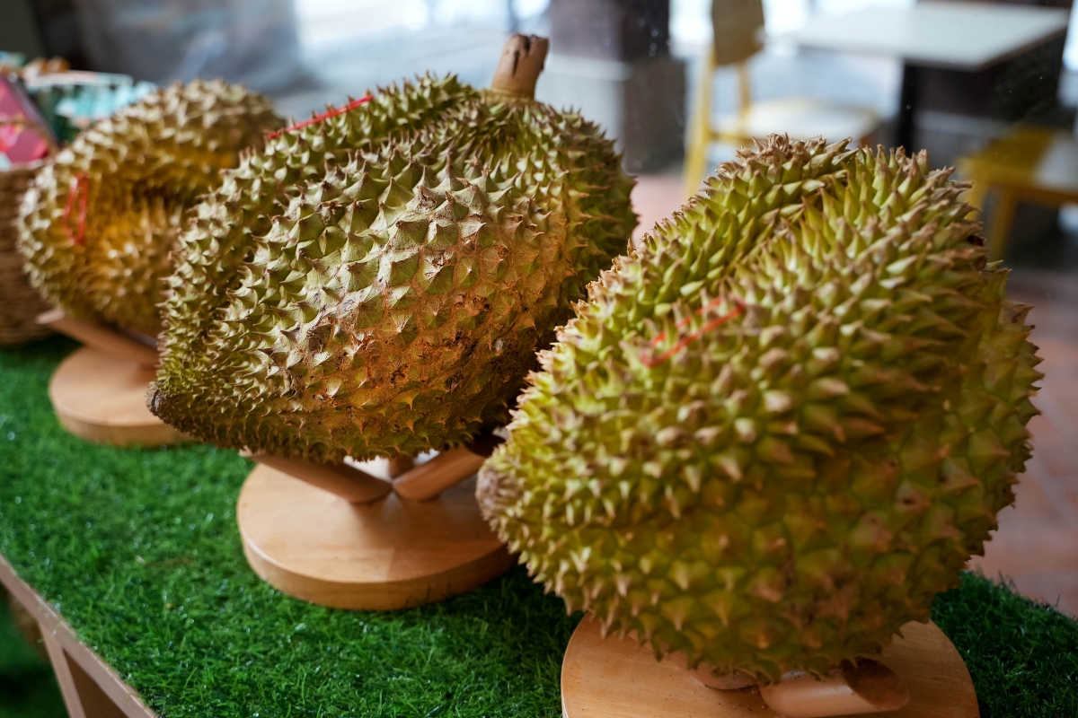 【清邁美食】Homm Wan – 清邁最強榴槤甜品專賣店,榴槤刨冰、榴槤泰奶、榴槤糯米飯應有盡有!不敢吃榴槤的話也有芒果系列可點喔~ - 第7張圖