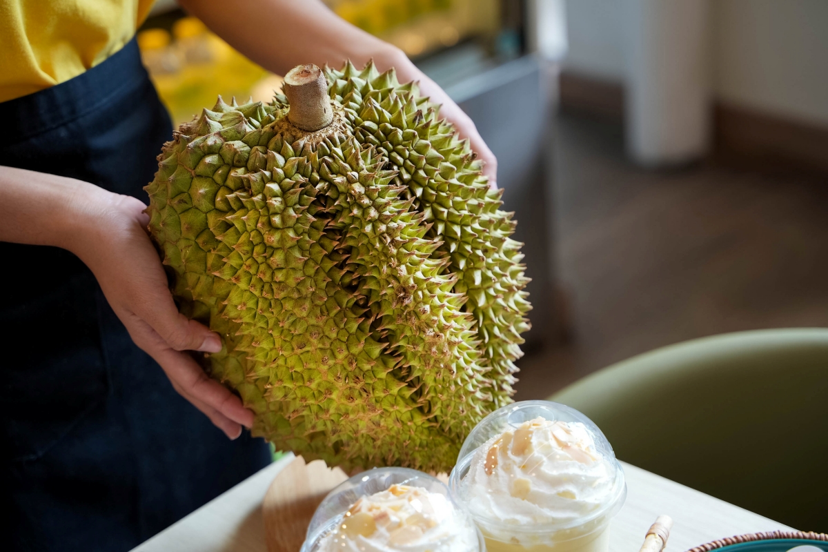 【清邁美食】Homm Wan – 清邁最強榴槤甜品專賣店,榴槤刨冰、榴槤泰奶、榴槤糯米飯應有盡有!不敢吃榴槤的話也有芒果系列可點喔~ - 第21張圖