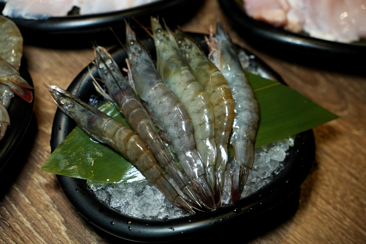 【中壢美食】肉多多 – 全台 全天候 平假日不限時! 輕量級套餐299 元起， 蔬食自助吧吃到飽，CP值超高！(西門店/淡水店例假日除外)