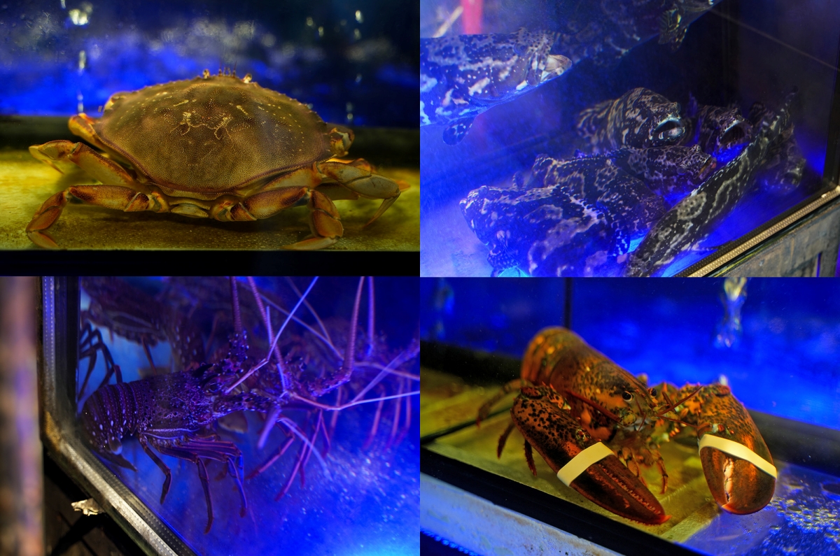 【桃園美食】派大鮮精緻鍋物 – 不用400元就可以享受到超有氛圍感的鍋物！業者直接為了鍋物開了一間水產公司，和牛、龍蝦應有盡有