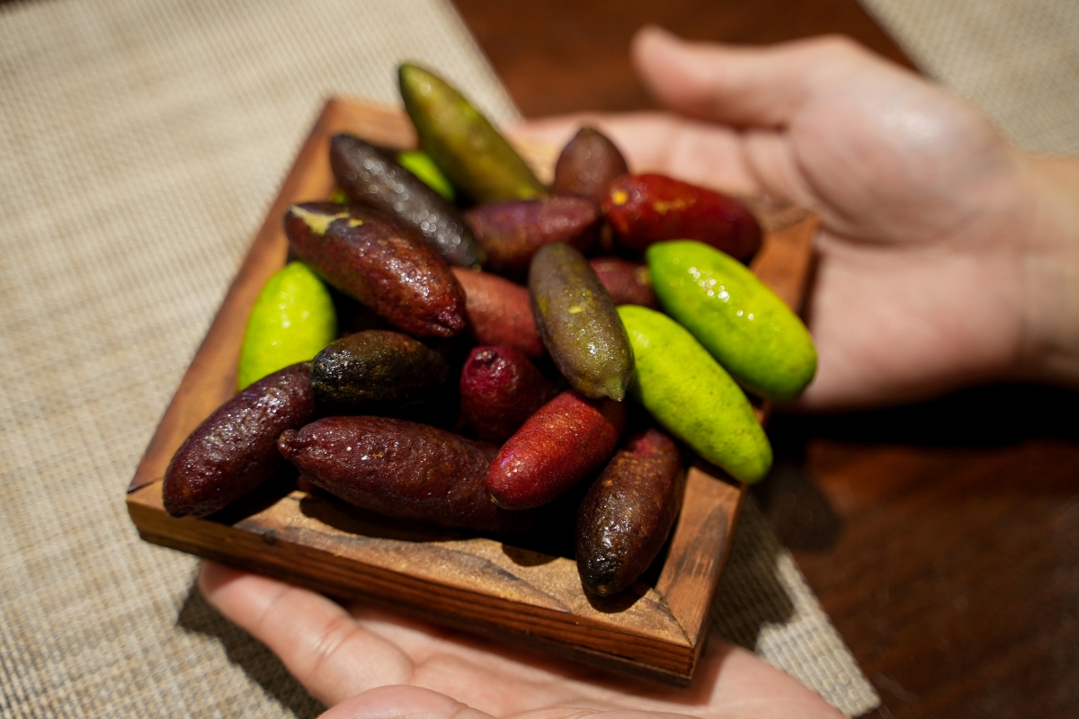 【桃園美食】本壽司無菜單料理 – 在地老饕們大推的日式無菜單料理餐廳，食材嚴選、手法細膩，是慶生、約會、聚餐的好選擇！