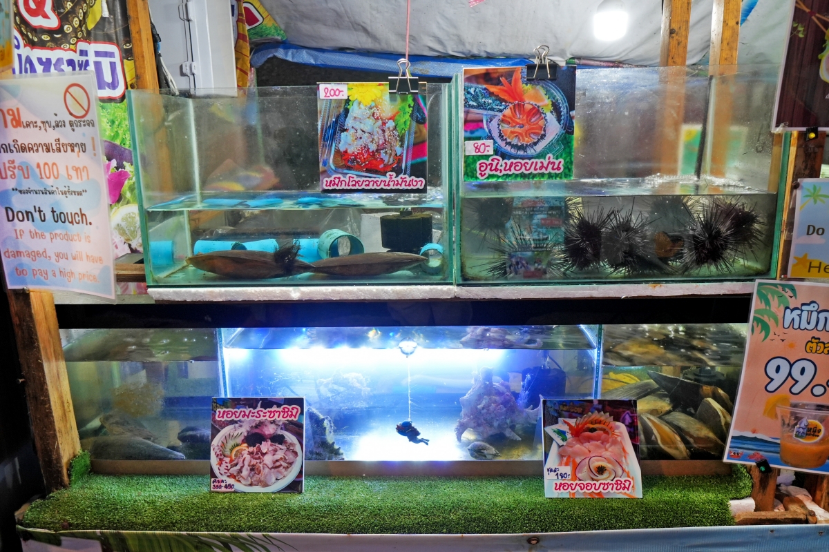 【芭達雅夜市】The Big Market Jomtien – 芭達雅中天海灘氣氛愜意的可愛夜市，有Live Music可欣賞，吃飽還可去沙灘漫步！