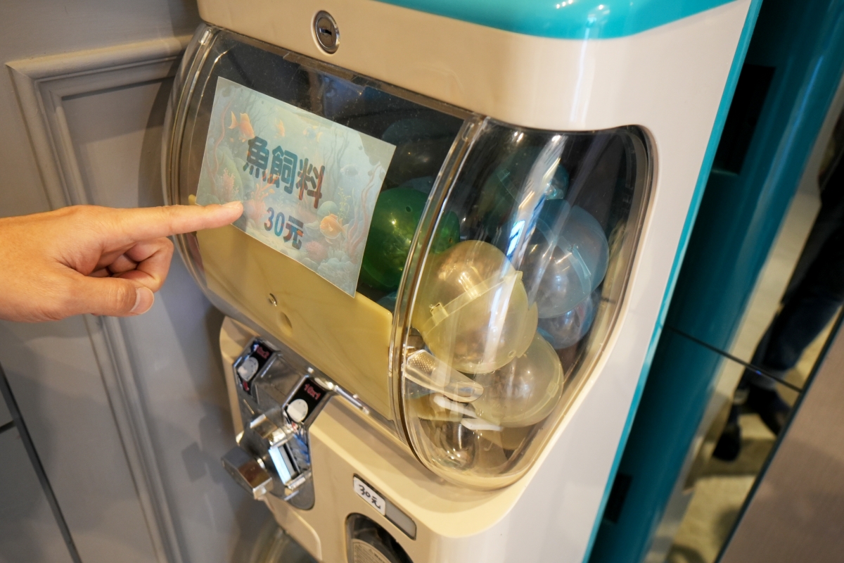 【花蓮住宿】波西米亞民宿 – 河景與海景都盡收眼底的景觀民宿，有220坪私人花園、戲水池、魚池，鄰近東大門夜市與南濱、北濱公園