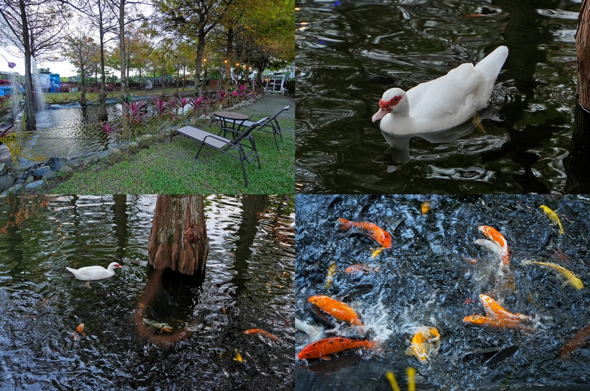 【花蓮住宿】波西米亞民宿 – 河景與海景都盡收眼底的景觀民宿，有220坪私人花園、戲水池、魚池，鄰近東大門夜市與南濱、北濱公園