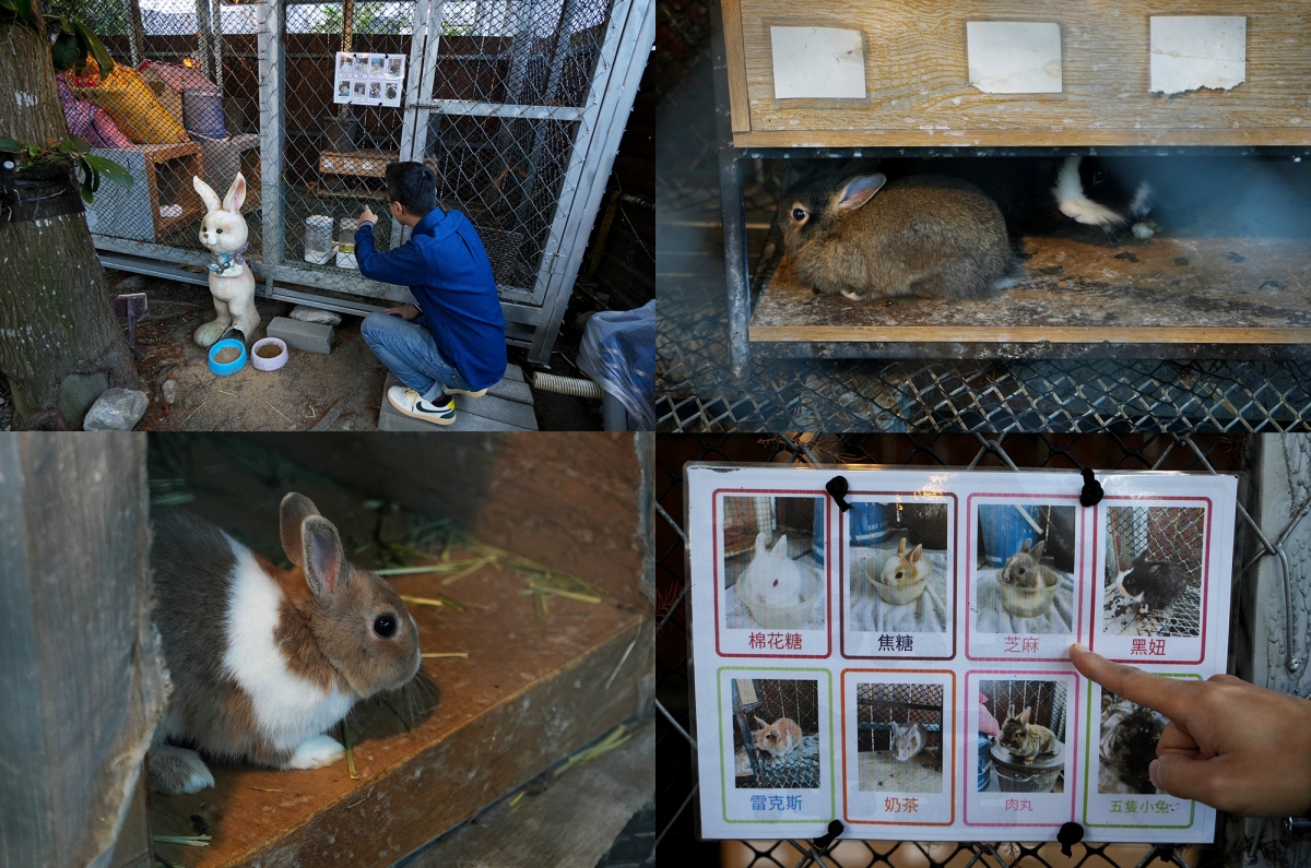 【花蓮住宿】波西米亞民宿 – 河景與海景都盡收眼底的景觀民宿，有220坪私人花園、戲水池、魚池，鄰近東大門夜市與南濱、北濱公園