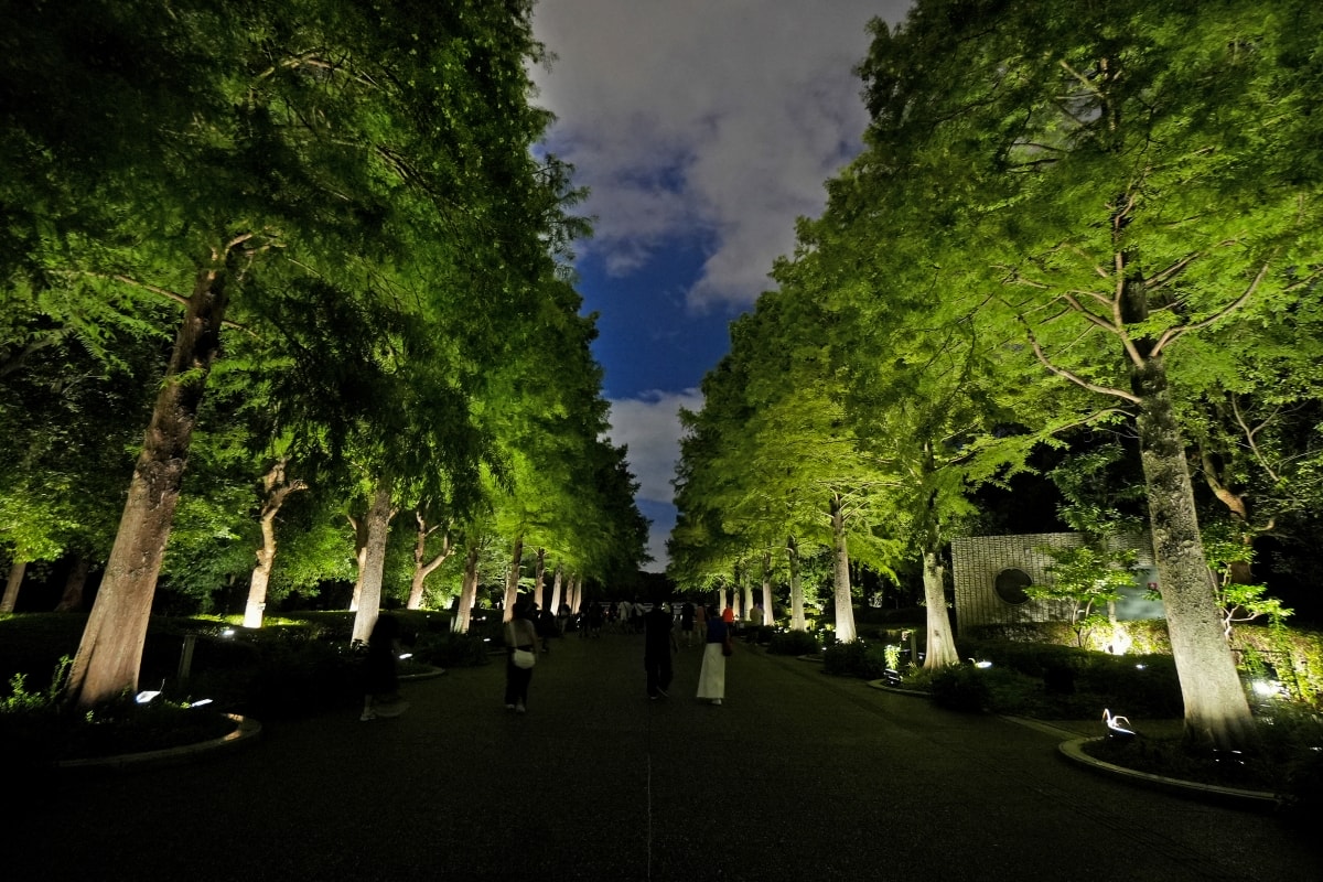 【大阪景點】teamLab Botanical Garden Osaka – teamLab推出的夜間戶外光影藝術博物館,遊客可以自由在植物園探索、與魔幻的作品互動 - 第7張圖 【大阪景點】teamLab Botanical Garden Osaka – teamLab推出的夜間戶外光影藝術博物館,遊客可以自由在植物園探索、與魔幻的作品互動