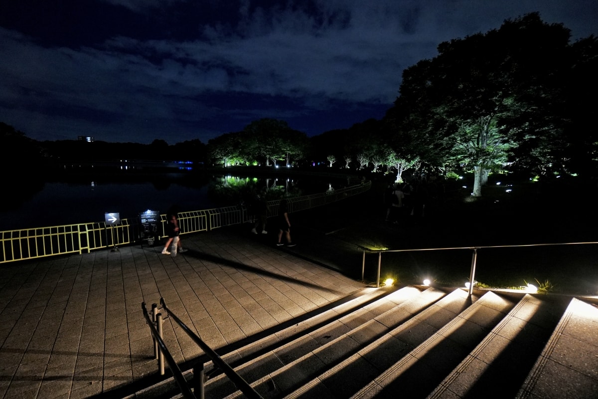 【大阪景點】teamLab Botanical Garden Osaka – teamLab推出的夜間戶外光影藝術博物館,遊客可以自由在植物園探索、與魔幻的作品互動 - 第8張圖 【大阪景點】teamLab Botanical Garden Osaka – teamLab推出的夜間戶外光影藝術博物館,遊客可以自由在植物園探索、與魔幻的作品互動