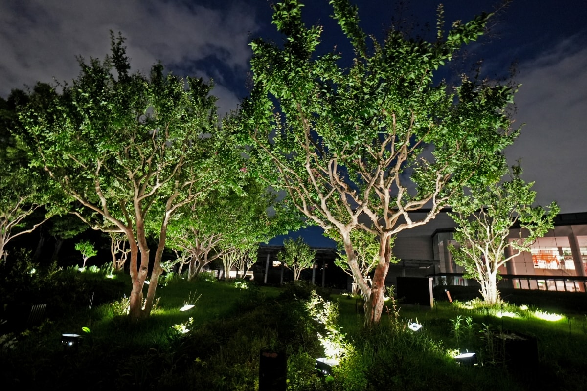 【大阪景點】teamLab Botanical Garden Osaka – teamLab推出的夜間戶外光影藝術博物館,遊客可以自由在植物園探索、與魔幻的作品互動 - 第11張圖 【大阪景點】teamLab Botanical Garden Osaka – teamLab推出的夜間戶外光影藝術博物館,遊客可以自由在植物園探索、與魔幻的作品互動