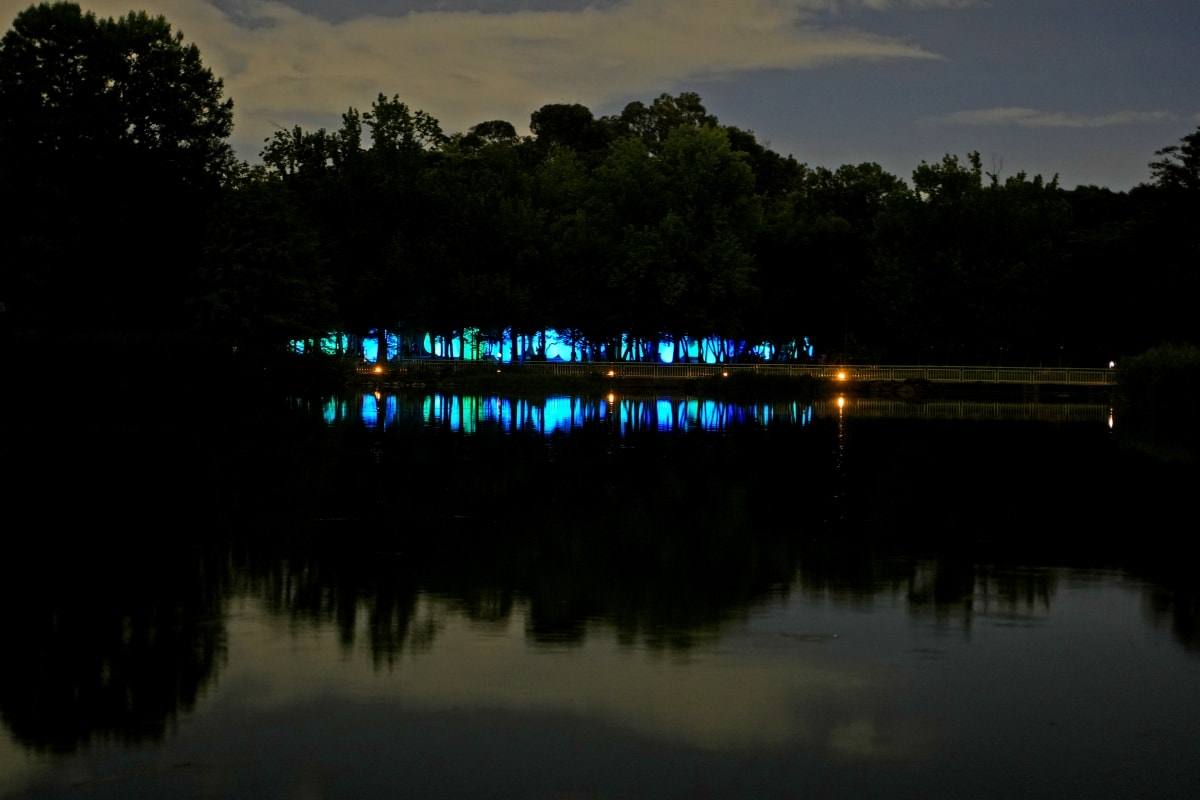 【大阪景點】teamLab Botanical Garden Osaka – teamLab推出的夜間戶外光影藝術博物館,遊客可以自由在植物園探索、與魔幻的作品互動 - 第19張圖 【大阪景點】teamLab Botanical Garden Osaka – teamLab推出的夜間戶外光影藝術博物館,遊客可以自由在植物園探索、與魔幻的作品互動