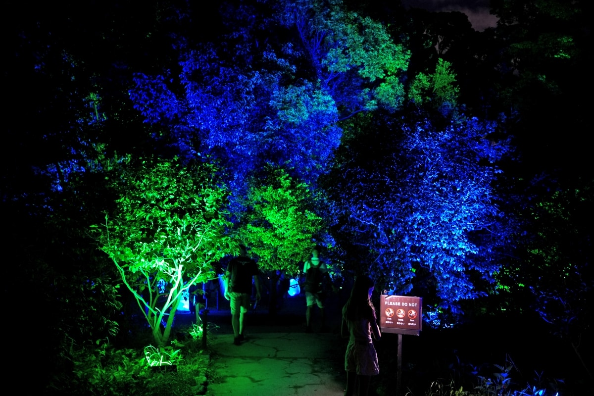 【大阪景點】teamLab Botanical Garden Osaka – teamLab推出的夜間戶外光影藝術博物館,遊客可以自由在植物園探索、與魔幻的作品互動 - 第12張圖 【大阪景點】teamLab Botanical Garden Osaka – teamLab推出的夜間戶外光影藝術博物館,遊客可以自由在植物園探索、與魔幻的作品互動
