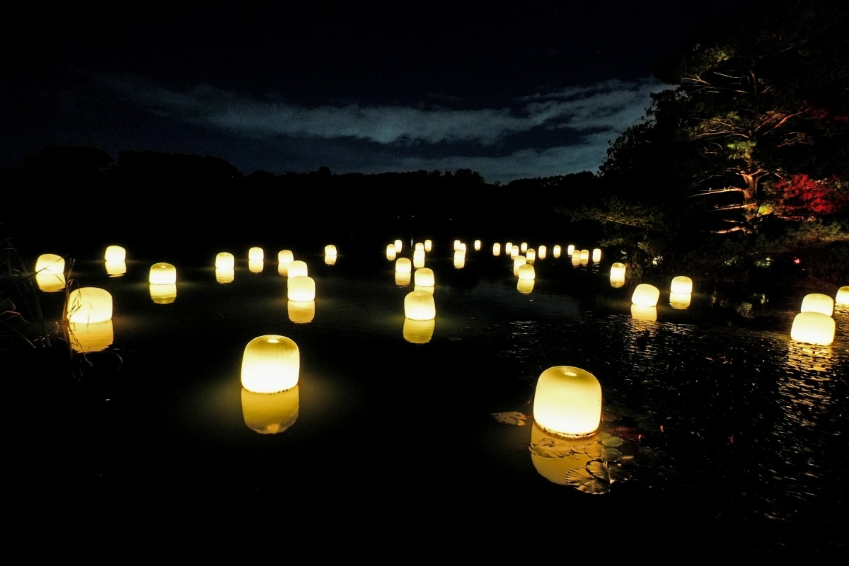 【大阪景點】teamLab Botanical Garden Osaka – teamLab推出的夜間戶外光影藝術博物館,遊客可以自由在植物園探索、與魔幻的作品互動 - 第21張圖 【大阪景點】teamLab Botanical Garden Osaka – teamLab推出的夜間戶外光影藝術博物館,遊客可以自由在植物園探索、與魔幻的作品互動