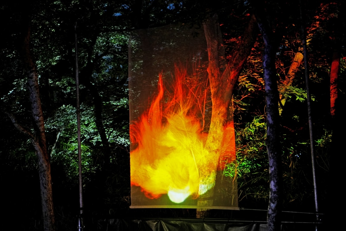 【大阪景點】teamLab Botanical Garden Osaka – teamLab推出的夜間戶外光影藝術博物館,遊客可以自由在植物園探索、與魔幻的作品互動 - 第23張圖 【大阪景點】teamLab Botanical Garden Osaka – teamLab推出的夜間戶外光影藝術博物館,遊客可以自由在植物園探索、與魔幻的作品互動