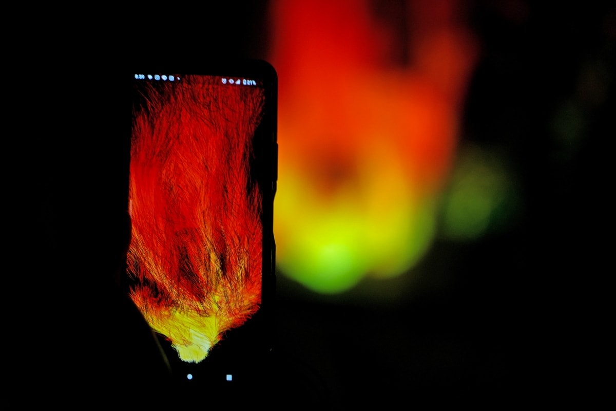 【大阪景點】teamLab Botanical Garden Osaka – teamLab推出的夜間戶外光影藝術博物館,遊客可以自由在植物園探索、與魔幻的作品互動 - 第25張圖 【大阪景點】teamLab Botanical Garden Osaka – teamLab推出的夜間戶外光影藝術博物館,遊客可以自由在植物園探索、與魔幻的作品互動