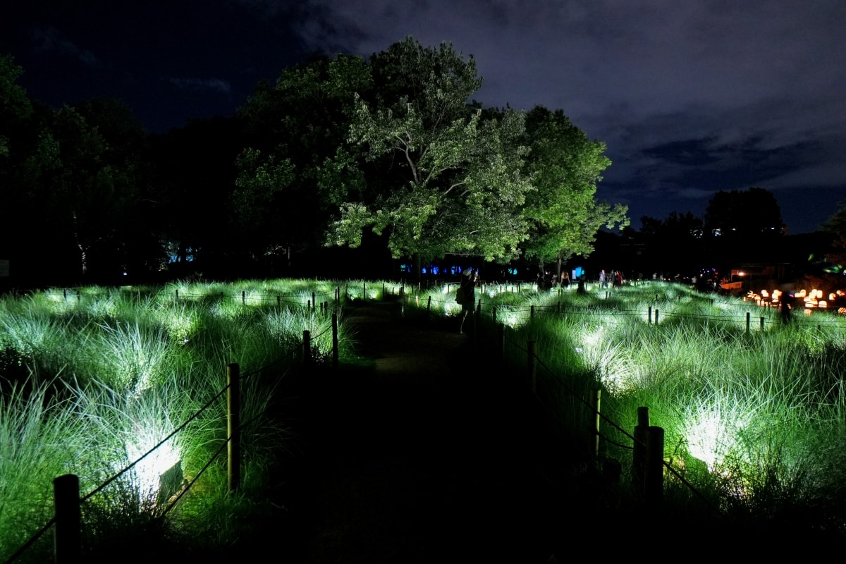 【大阪景點】teamLab Botanical Garden Osaka – teamLab推出的夜間戶外光影藝術博物館,遊客可以自由在植物園探索、與魔幻的作品互動 - 第26張圖 【大阪景點】teamLab Botanical Garden Osaka – teamLab推出的夜間戶外光影藝術博物館,遊客可以自由在植物園探索、與魔幻的作品互動