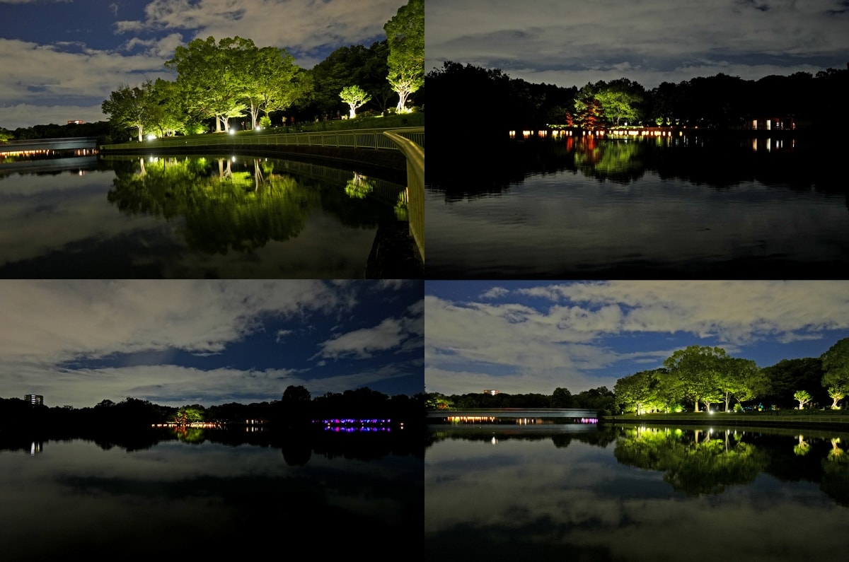 【大阪景點】teamLab Botanical Garden Osaka – teamLab推出的夜間戶外光影藝術博物館,遊客可以自由在植物園探索、與魔幻的作品互動 - 第9張圖 【大阪景點】teamLab Botanical Garden Osaka – teamLab推出的夜間戶外光影藝術博物館,遊客可以自由在植物園探索、與魔幻的作品互動