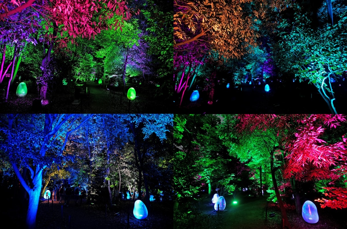 【大阪景點】teamLab Botanical Garden Osaka – teamLab推出的夜間戶外光影藝術博物館,遊客可以自由在植物園探索、與魔幻的作品互動 - 第13張圖 【大阪景點】teamLab Botanical Garden Osaka – teamLab推出的夜間戶外光影藝術博物館,遊客可以自由在植物園探索、與魔幻的作品互動
