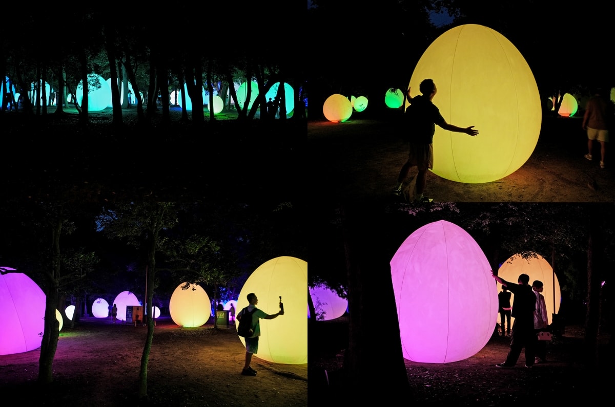 【大阪景點】teamLab Botanical Garden Osaka – teamLab推出的夜間戶外光影藝術博物館,遊客可以自由在植物園探索、與魔幻的作品互動 - 第20張圖 【大阪景點】teamLab Botanical Garden Osaka – teamLab推出的夜間戶外光影藝術博物館,遊客可以自由在植物園探索、與魔幻的作品互動