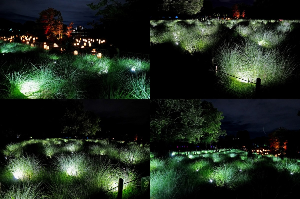 【大阪景點】teamLab Botanical Garden Osaka – teamLab推出的夜間戶外光影藝術博物館,遊客可以自由在植物園探索、與魔幻的作品互動 - 第27張圖 【大阪景點】teamLab Botanical Garden Osaka – teamLab推出的夜間戶外光影藝術博物館,遊客可以自由在植物園探索、與魔幻的作品互動